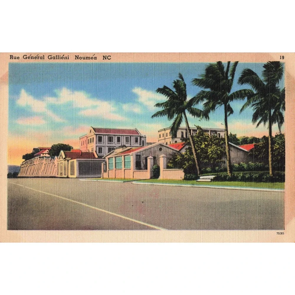Vintage 1940's Rue General Gallieni Noumea NC Postcard Palm Trees Coastal Scene - Picture 1 of 2